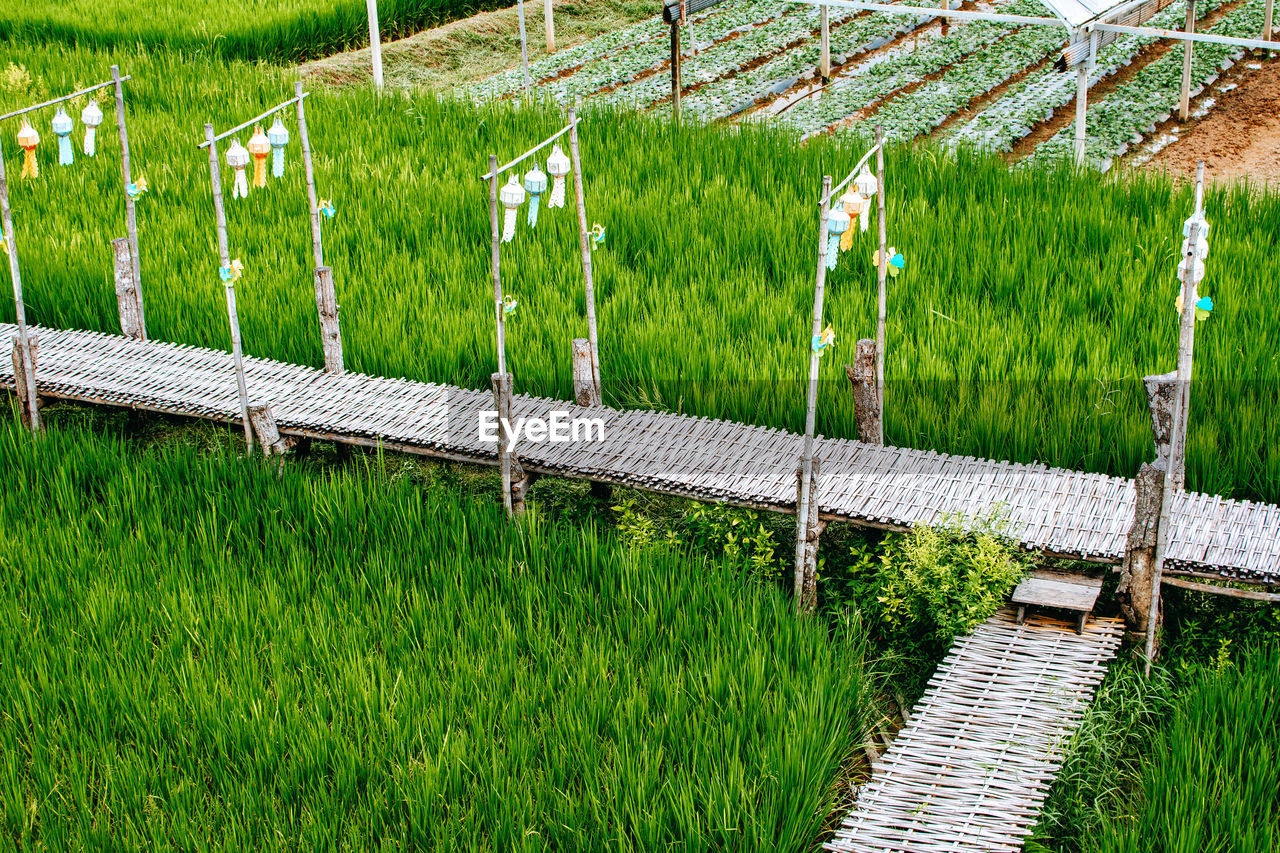 plant, green, agriculture, grass, outdoor structure, growth, fence, field, nature, lawn, no people, land, day, home fencing, outdoors, landscape, rural scene, security, tranquility, protection, environment, beauty in nature, farm, in a row, net, crop, garden