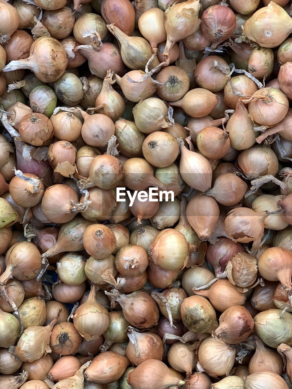 Full frame shot of onions for sale at market stall