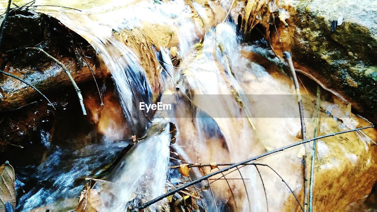 WATERFALL IN FOREST