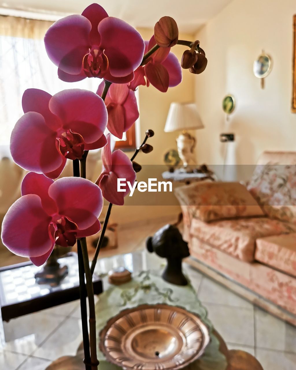 CLOSE-UP OF FLOWER VASE ON TABLE