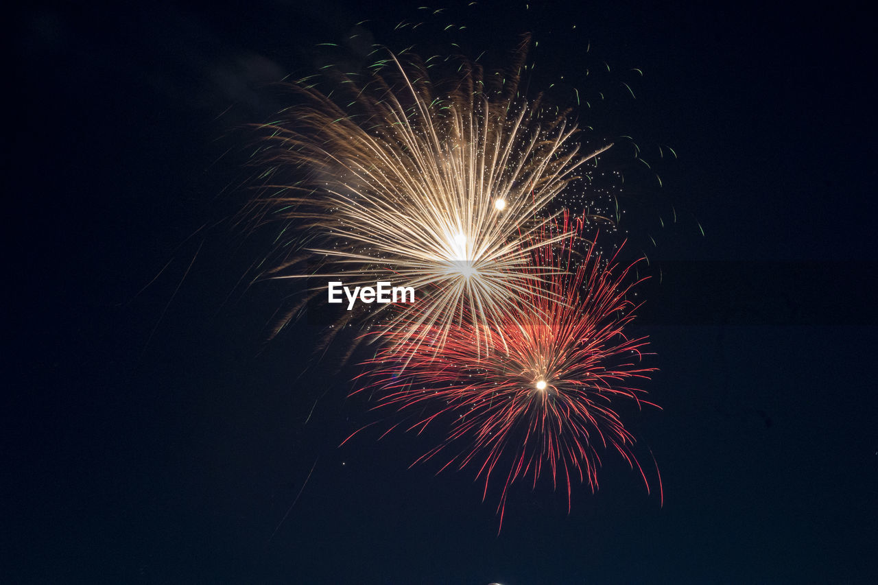 Low angle view of firework display at night