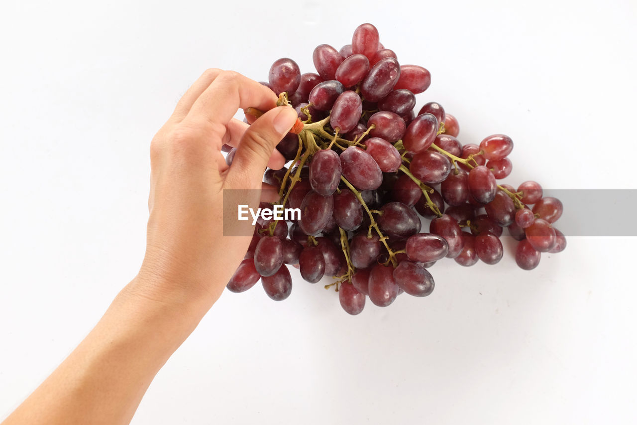 CLOSE-UP OF HAND HOLDING FRUITS