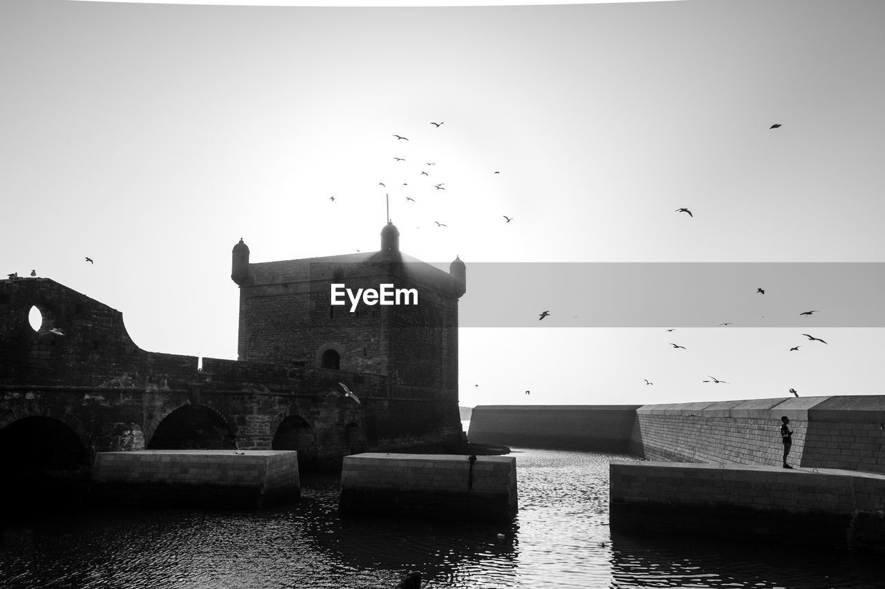 BIRDS FLYING OVER BUILDINGS AGAINST SKY