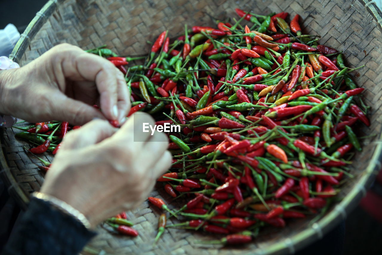 Cropped image of hands holding chili pepper