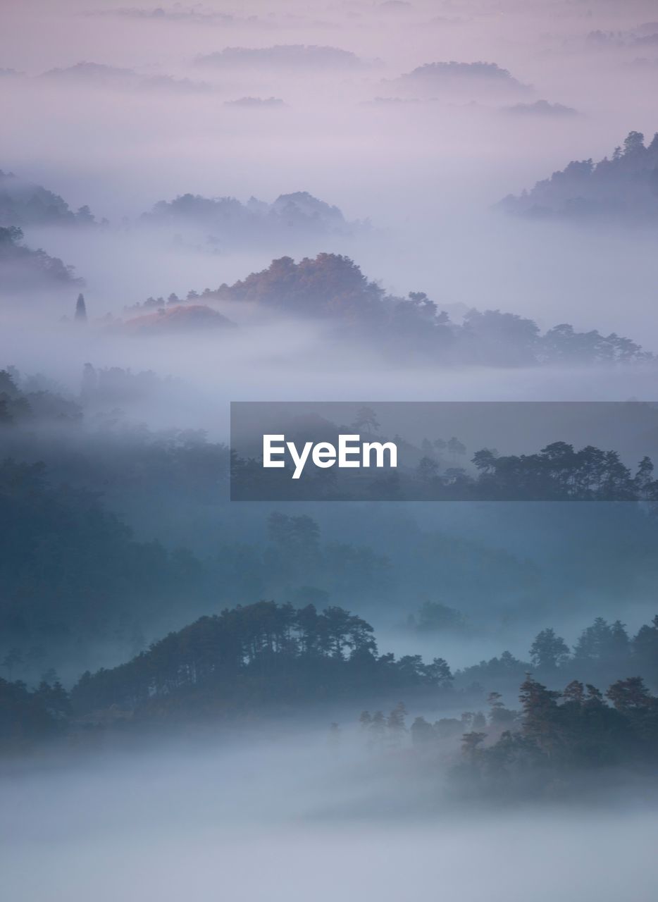 SCENIC VIEW OF TREE MOUNTAINS AGAINST SKY