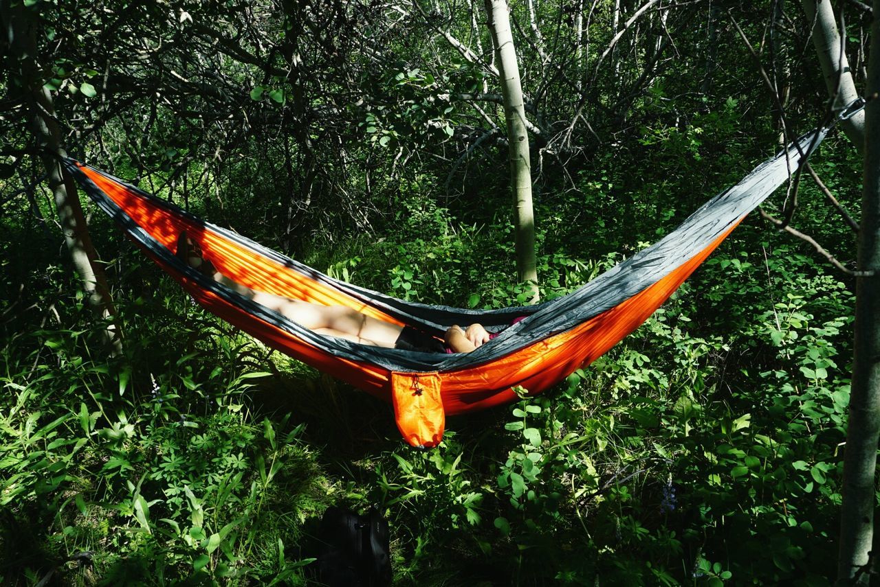 Woman relaxing in hammock amidst trees