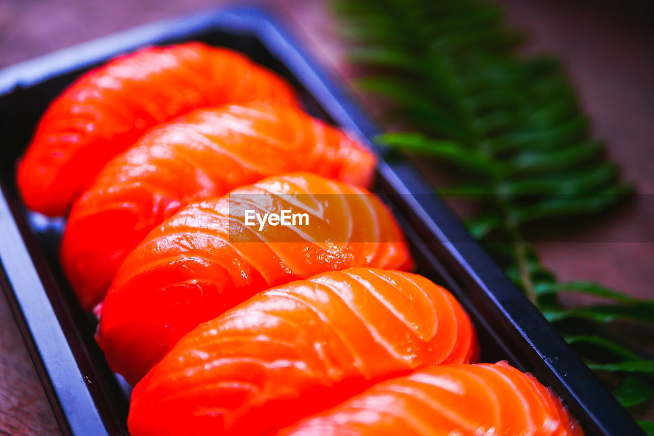 CLOSE-UP OF ORANGE FISH IN CONTAINER