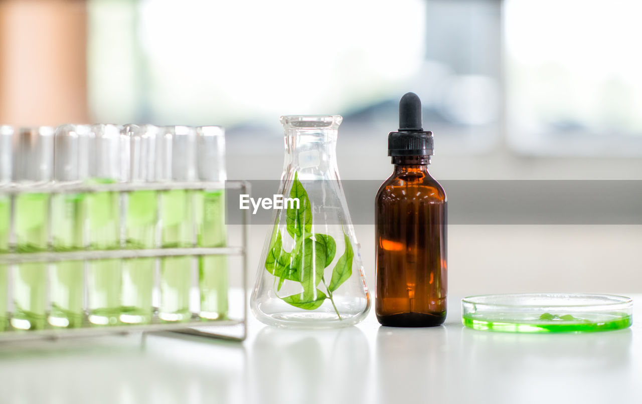 Close-up of plants with laboratory glassware on table