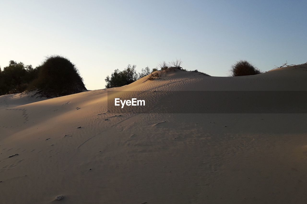 Sand dunes in desert against clear sky