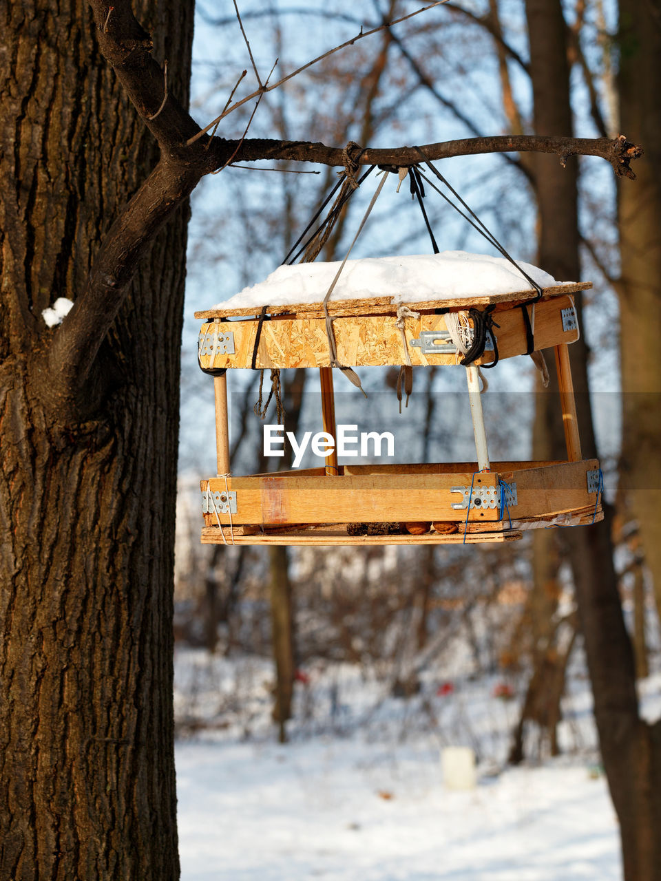 CLOSE-UP OF CLOTHES HANGING ON TREE TRUNK