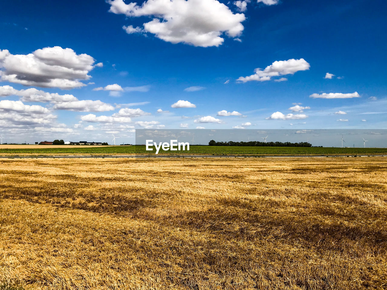 SCENIC VIEW OF FIELD AGAINST BLUE SKY