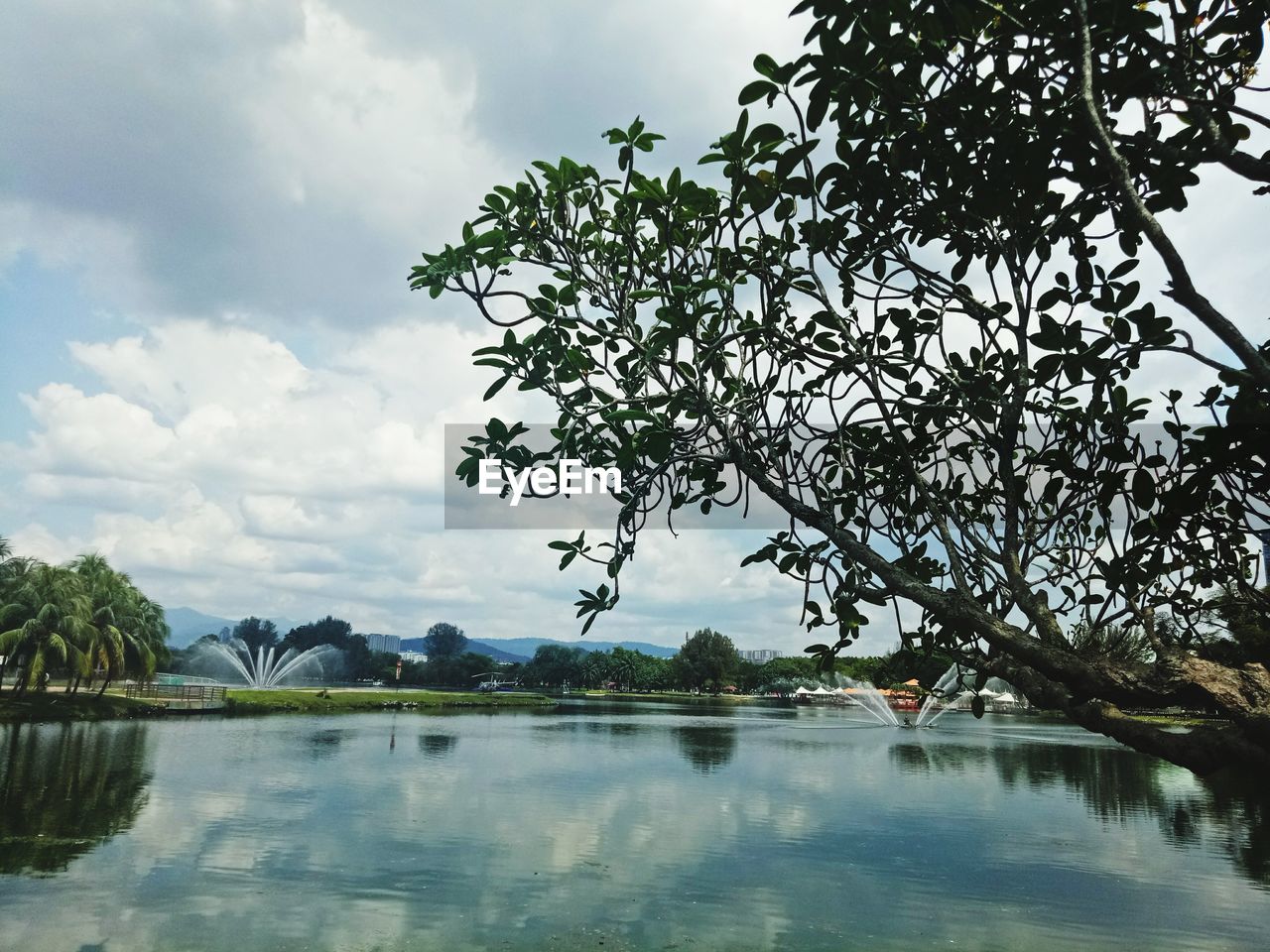 SCENIC VIEW OF LAKE BY TREES AGAINST SKY