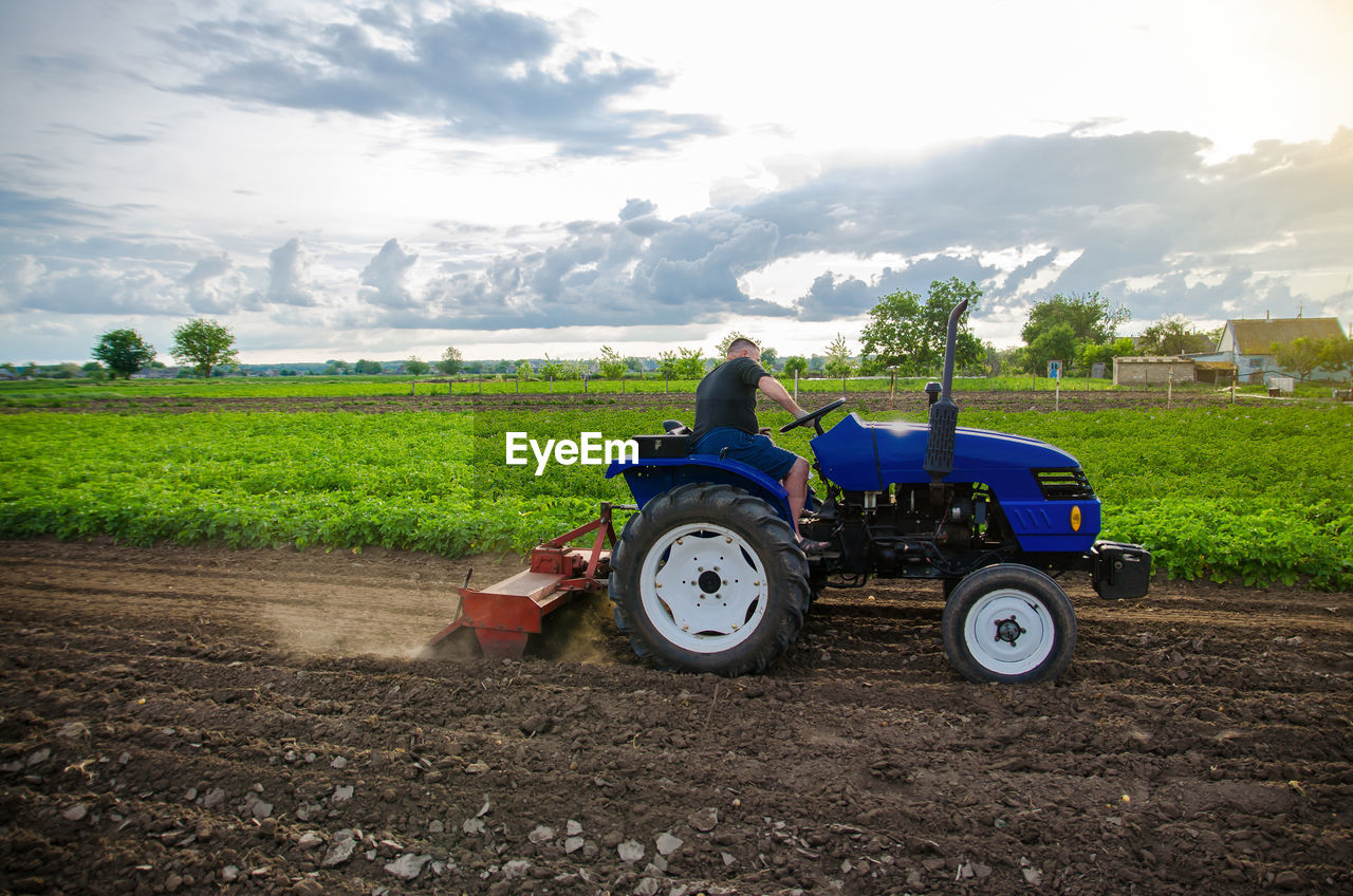 A farmer on a tractor mills and cultivates an agricultural field. milling soil, crushing 