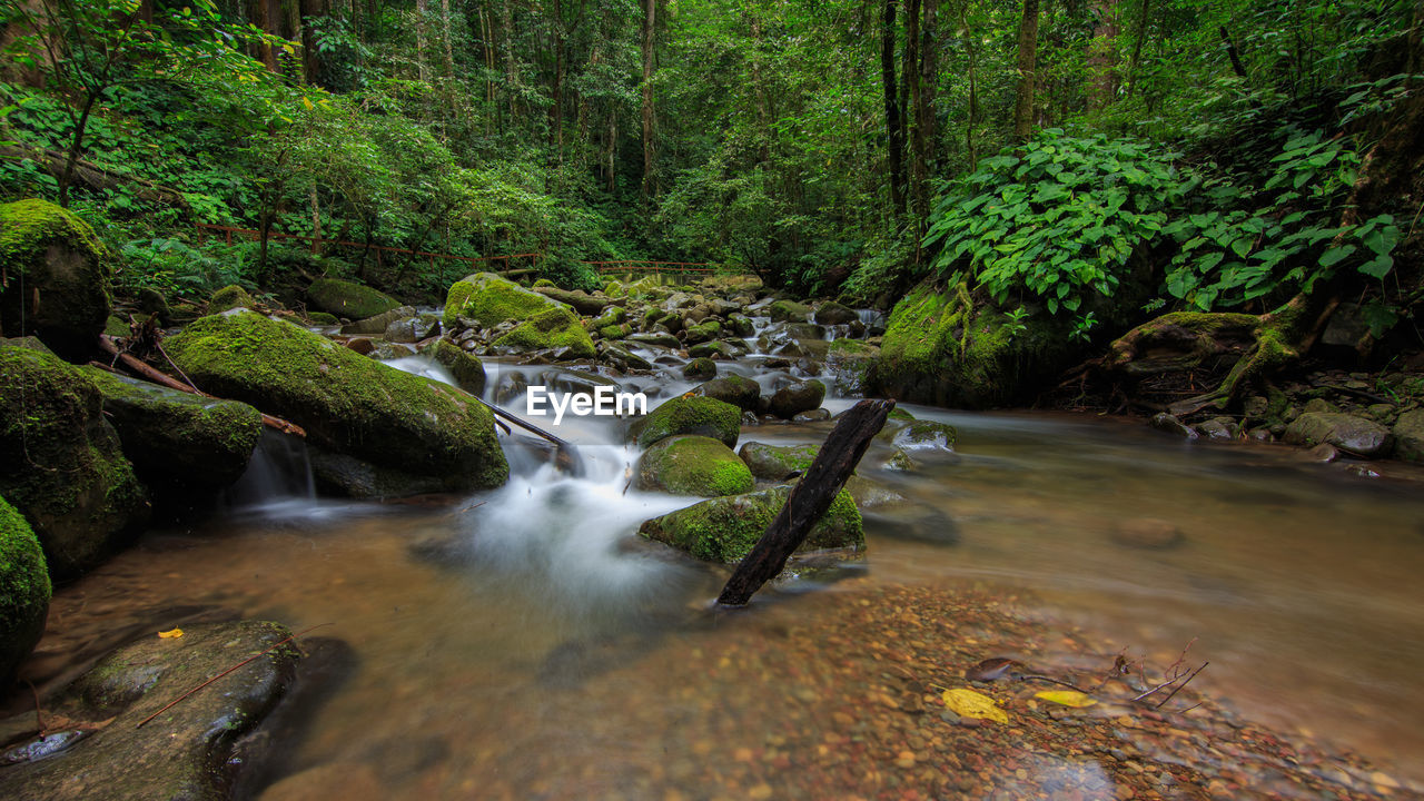 WATERFALL IN FOREST