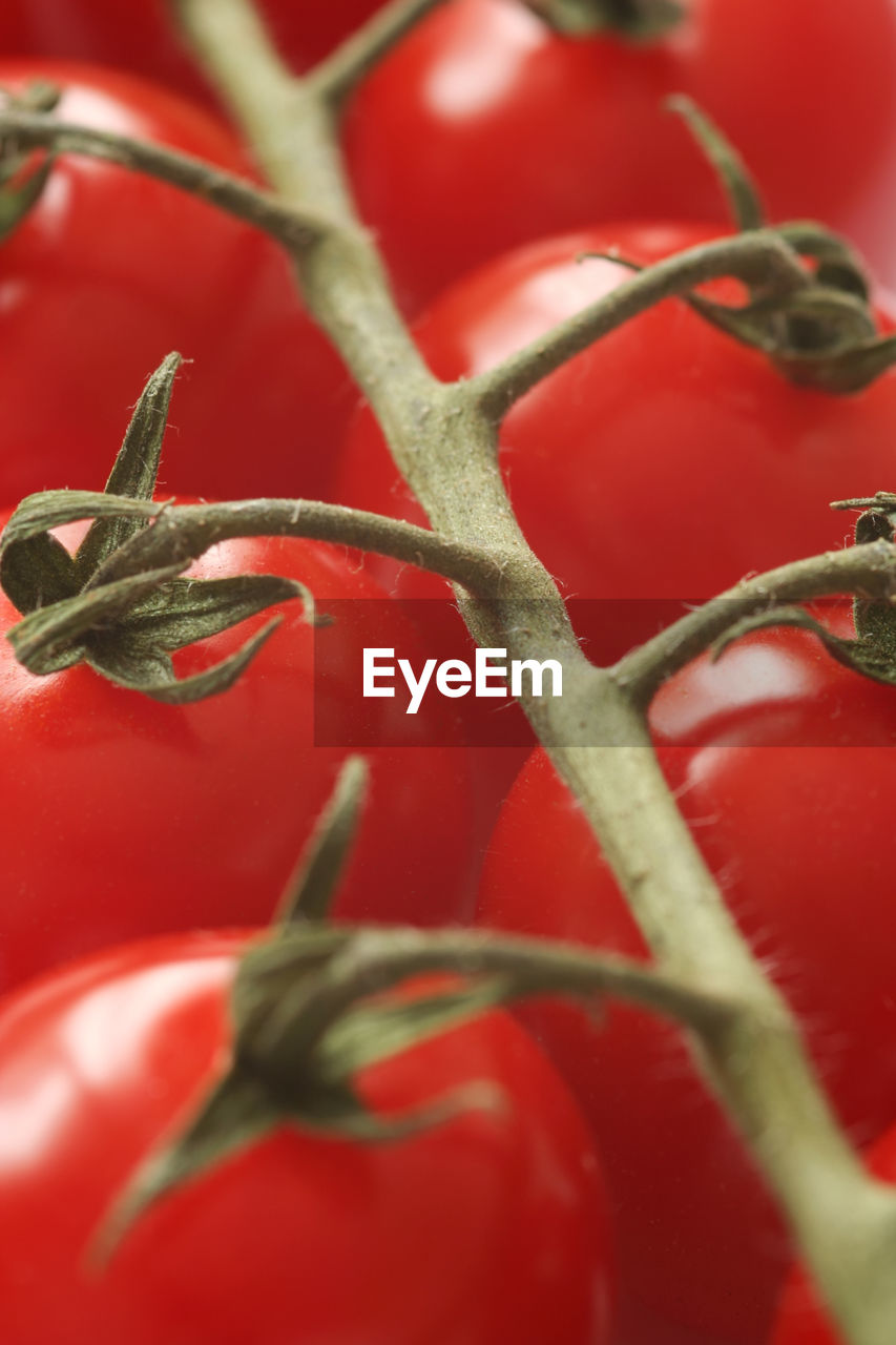 Full frame shot of red tomatoes