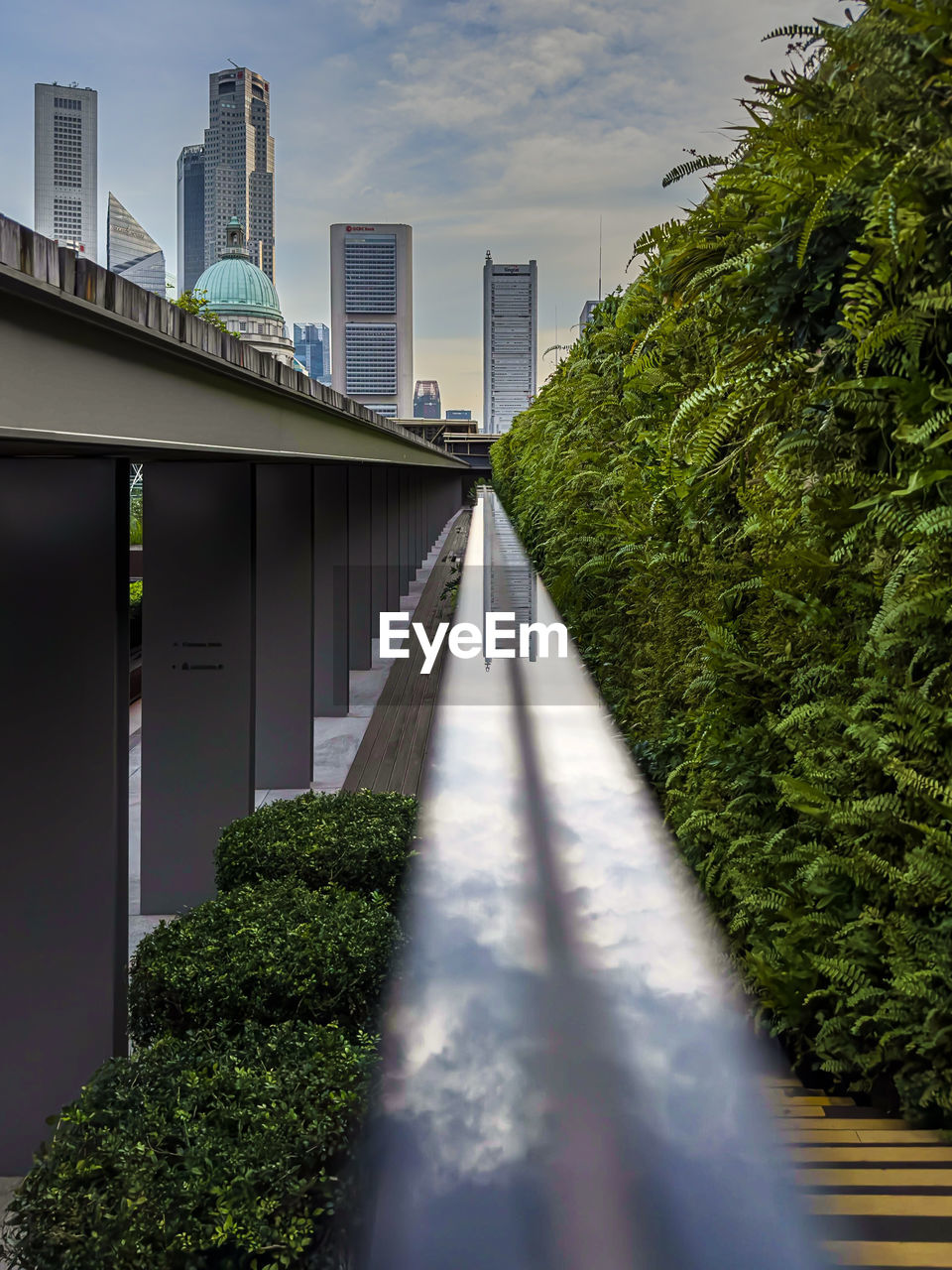 View of skyscrapers with greenery.