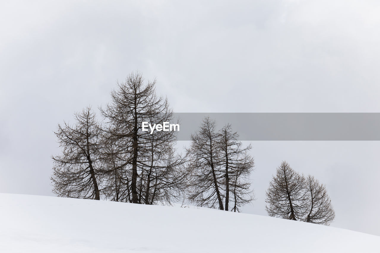 Bare trees on snow covered land against sky