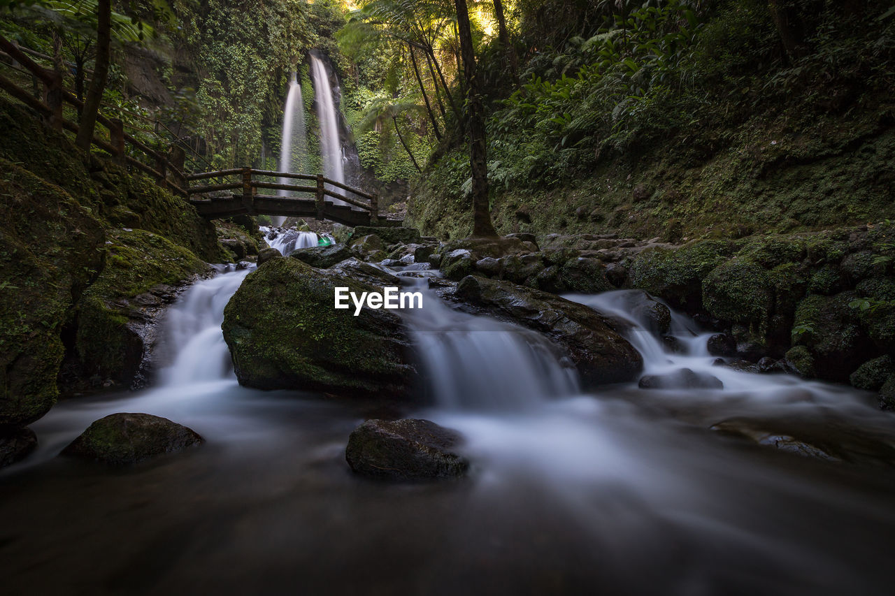 Stream flowing through rocks in forest