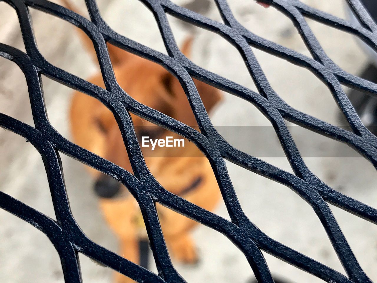 FULL FRAME OF CHAINLINK FENCE