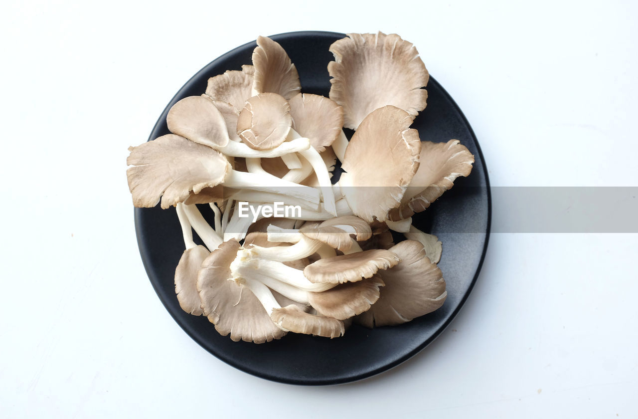 food, food and drink, freshness, mushroom, indoors, healthy eating, wellbeing, vegetable, studio shot, no people, ingredient, still life, edible mushroom, high angle view, white background, close-up, directly above, raw food, plate, flower, produce