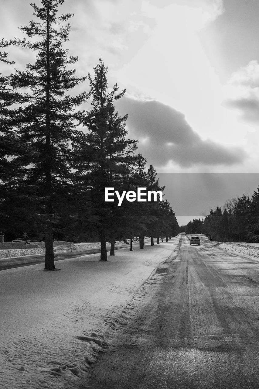 TREES BY ROAD AGAINST SKY