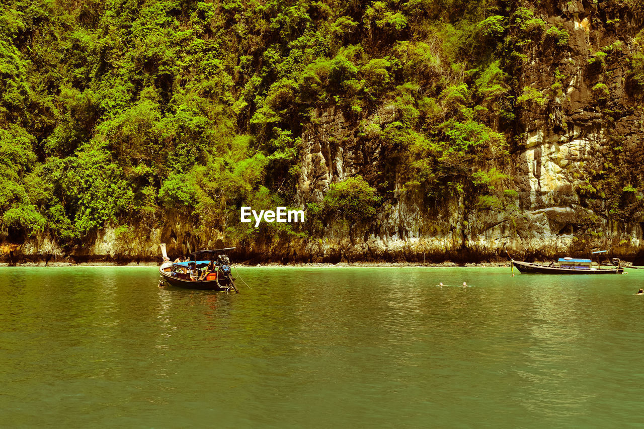 BOAT SAILING ON RIVER AGAINST TREES IN FOREST