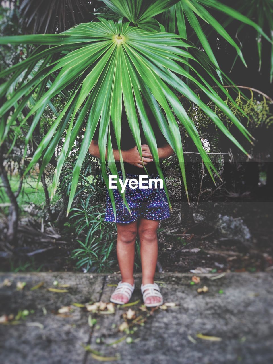 Woman standing behind palm leaf at park