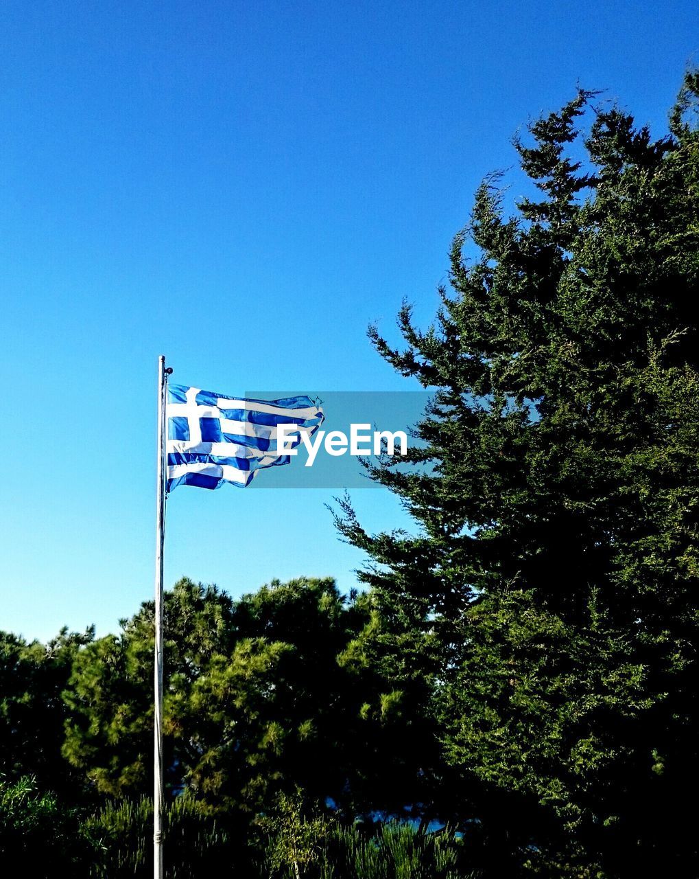 Greek flag by trees against clear blue sky