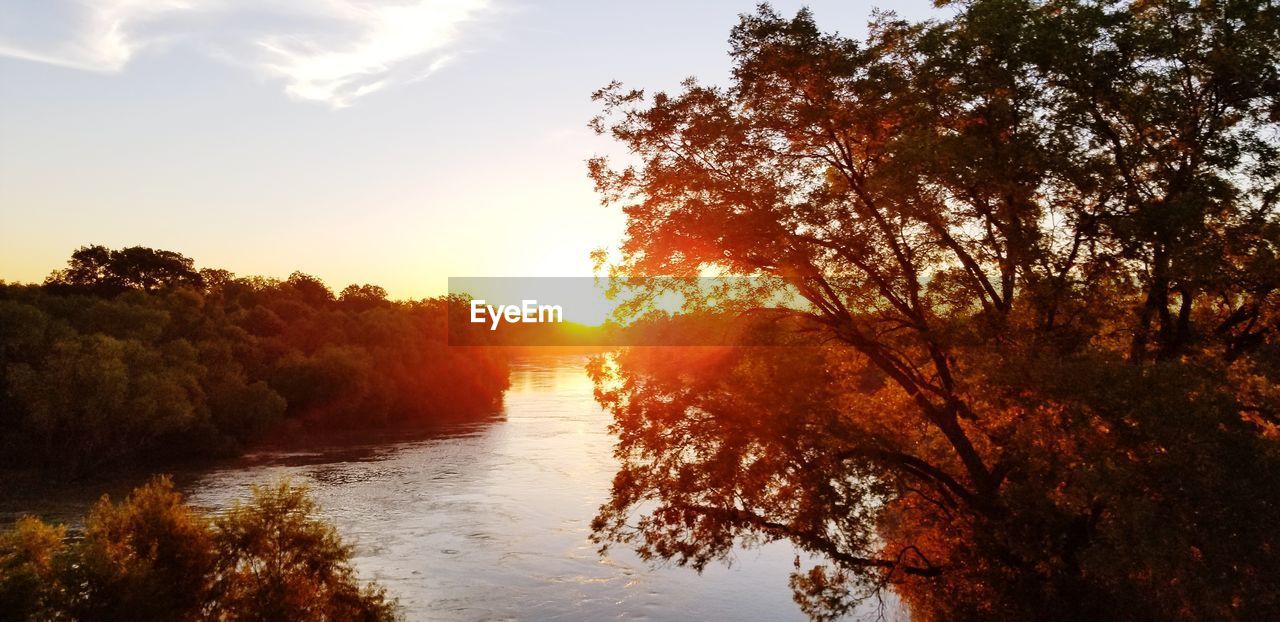 SILHOUETTE TREES BY RIVER AGAINST ORANGE SKY