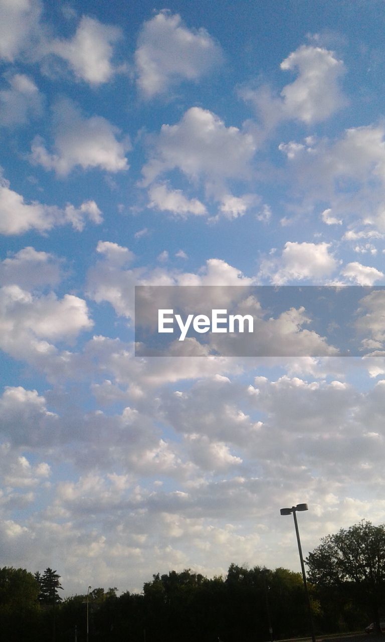 Low angle view of trees against sky