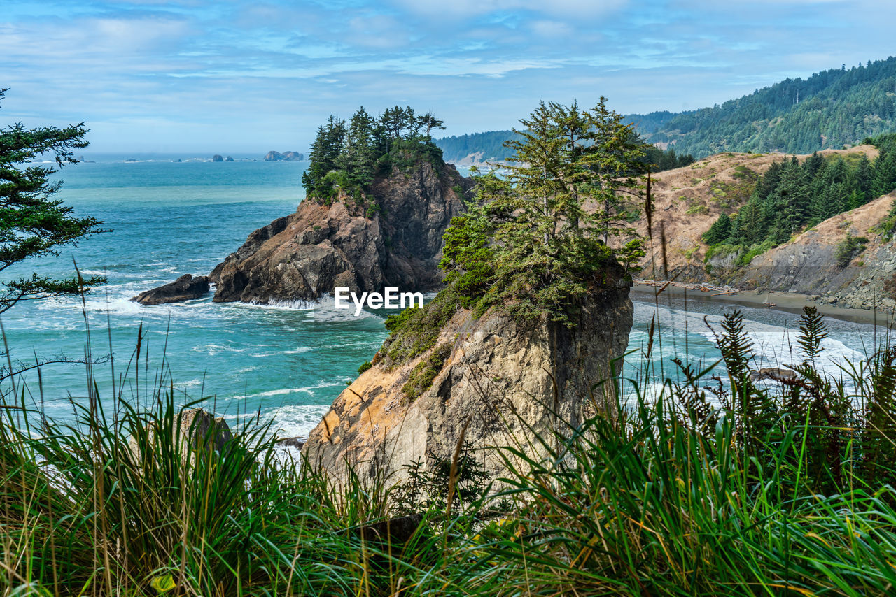 A view of the scenic shoreline near arch rock state park in oregon state.