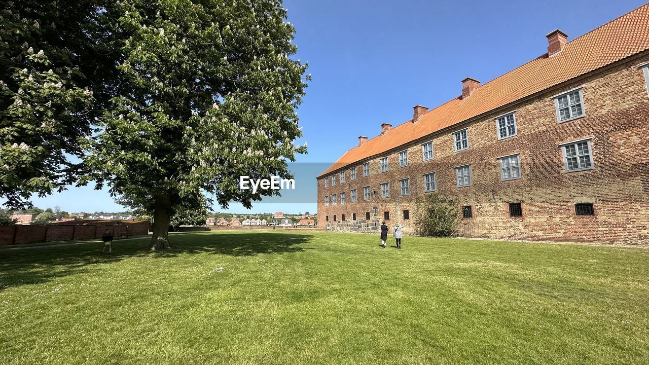 architecture, built structure, building exterior, estate, plant, grass, building, nature, tree, sky, lawn, château, green, house, day, stately home, residential district, history, clear sky, outdoors, sunlight, the past, mansion, blue, travel destinations, front or back yard, adult, sunny, travel, home