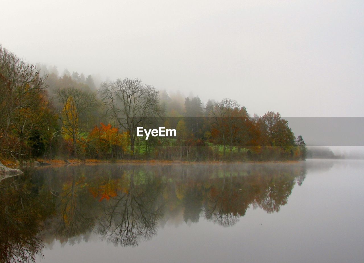 Reflection of autumn trees in calm lake