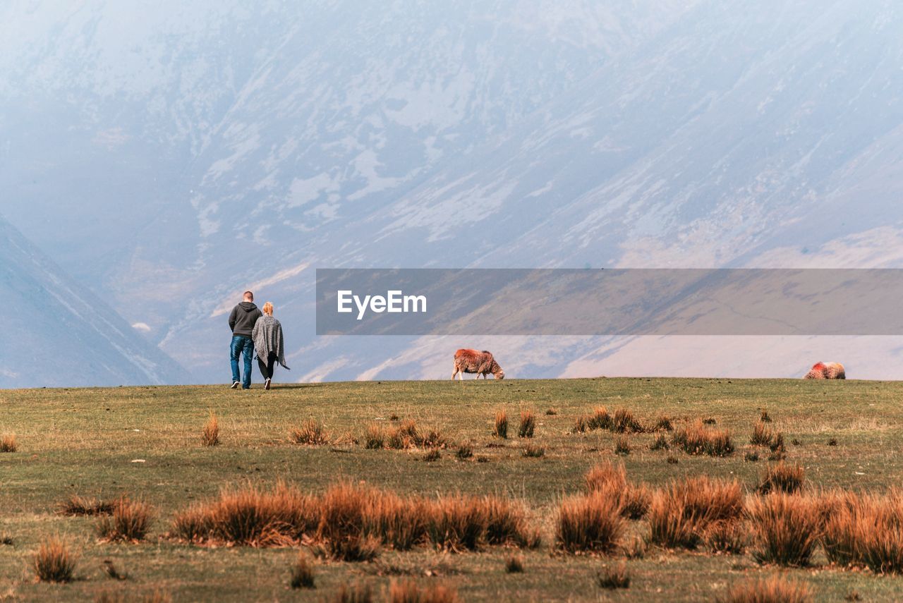 Rear view of couple walking on field against mountain
