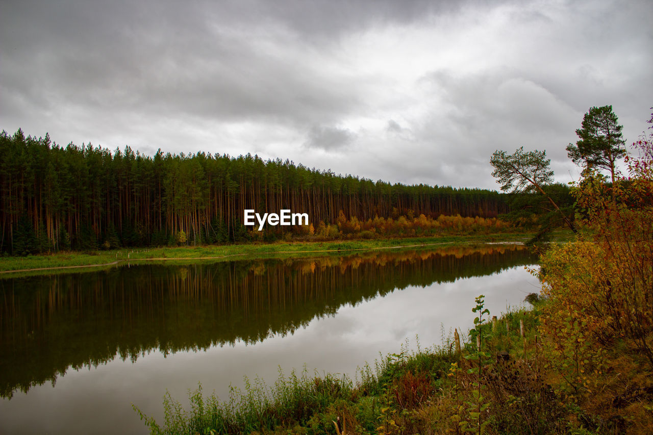 REFLECTION OF TREES IN LAKE AGAINST SKY