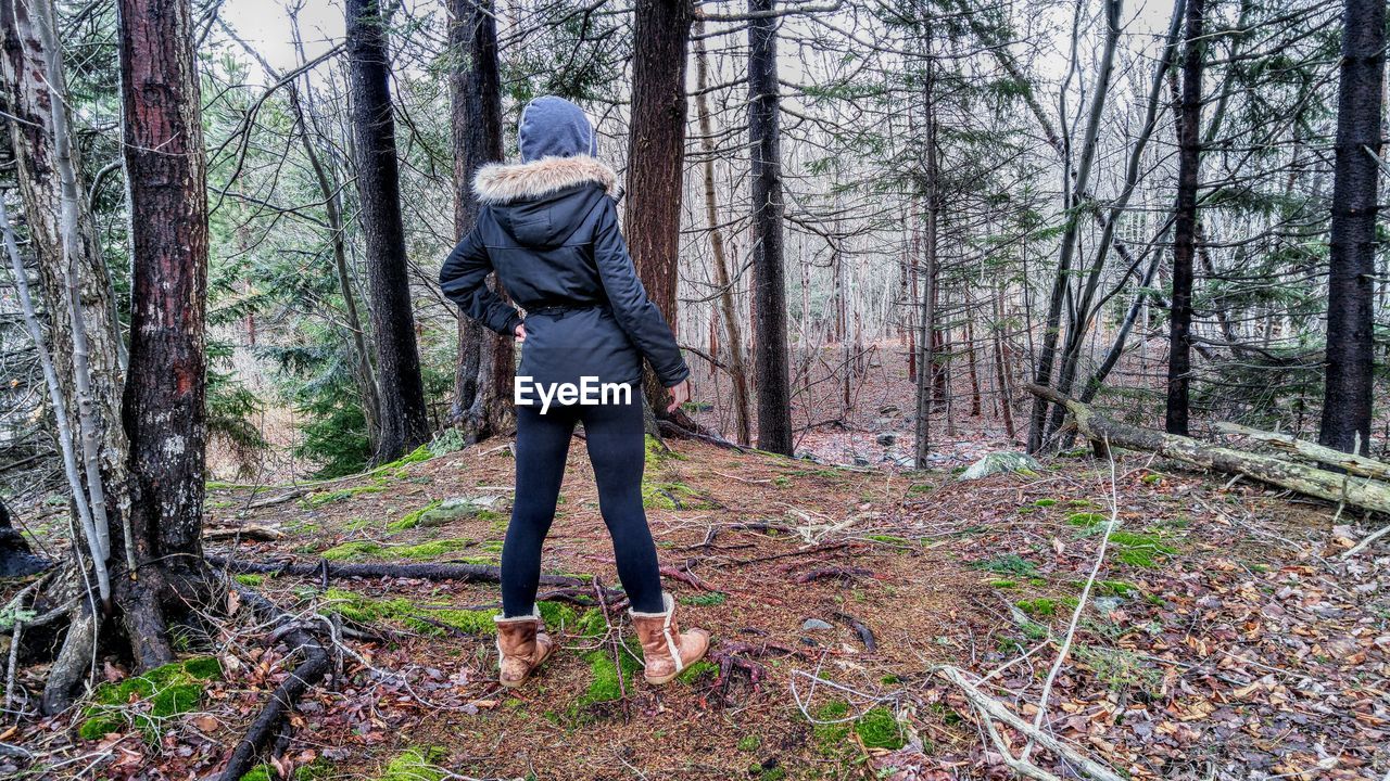 Rear view of woman wearing warm clothing while standing amidst trees in forest