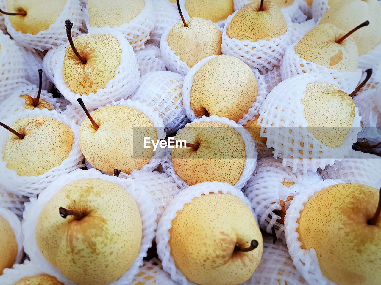Yellow chinese pears in white mesh protective foam for sale