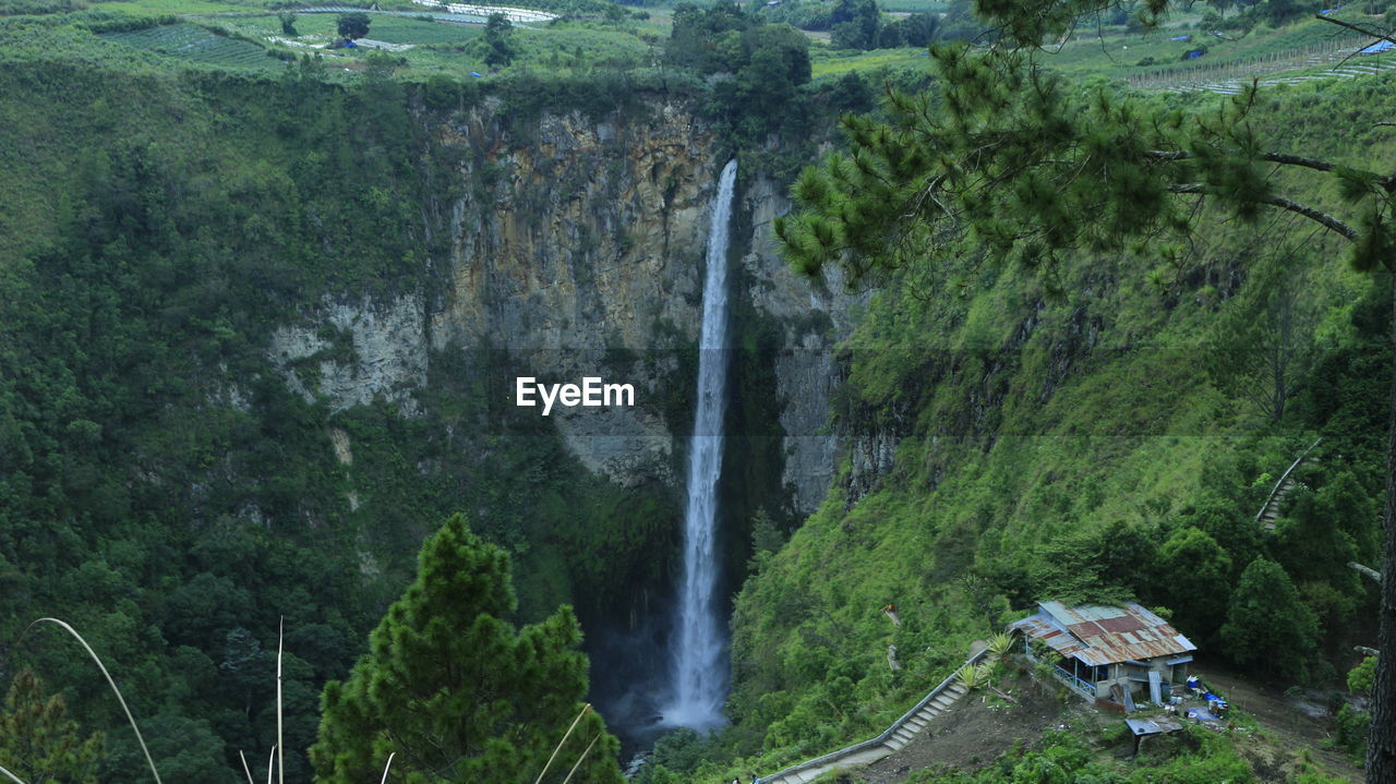 PANORAMIC VIEW OF WATERFALL IN FOREST