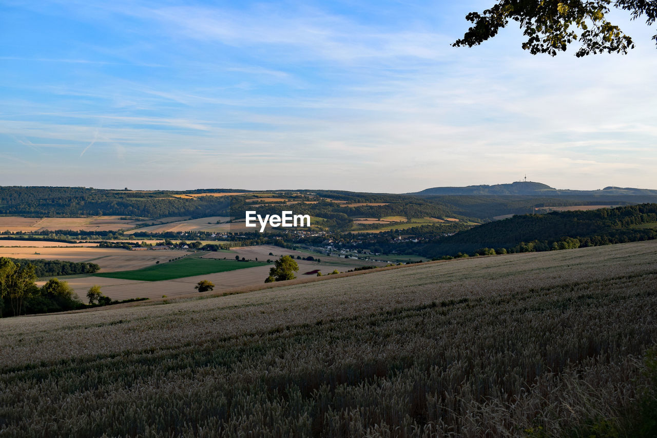 Scenic view of agricultural field against sky