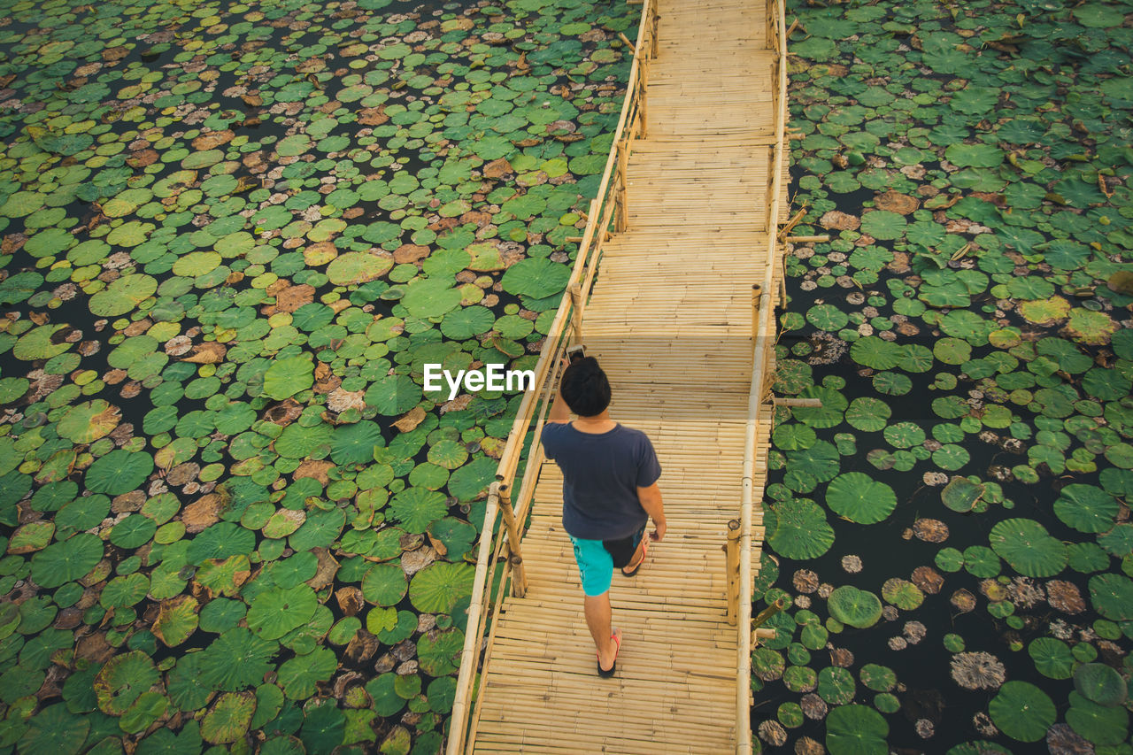 High angle view of man walking on footpath during autumn