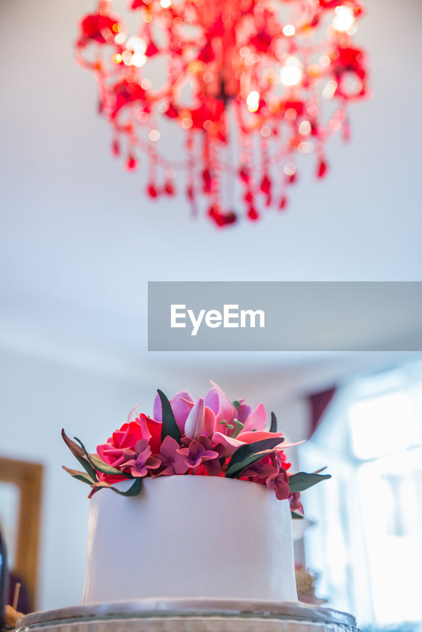 Close-up of pink flower pot on table