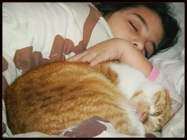 Young woman sleeping with cat on bed