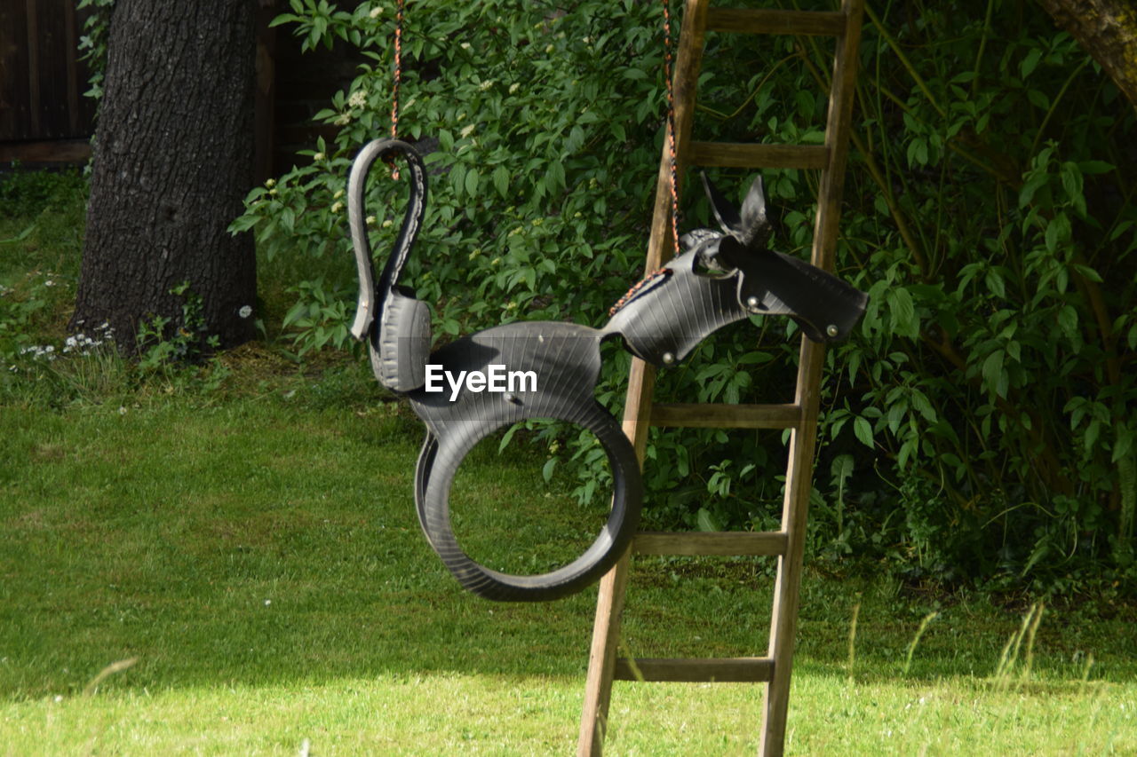 SWING HANGING FROM TREE