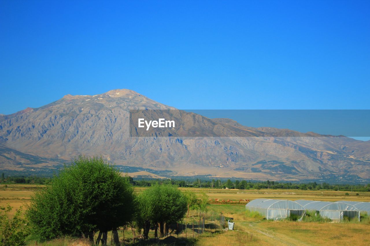 Scenic view of field against clear blue sky