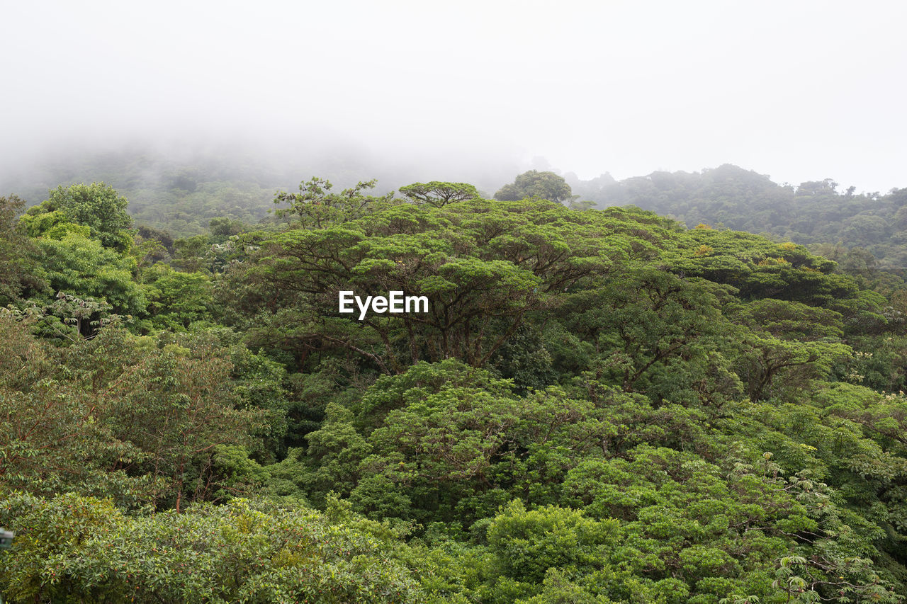 View of lush countryside landscape