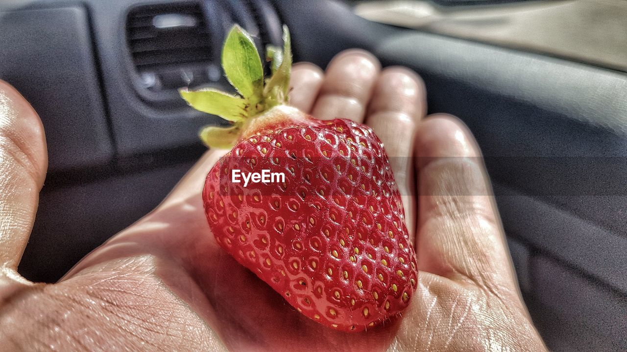 CLOSE-UP OF HAND HOLDING APPLE