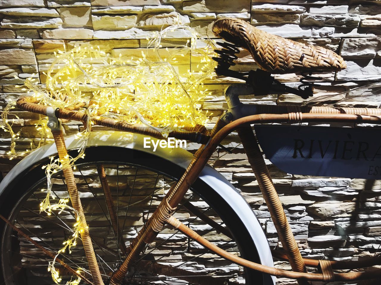 CLOSE-UP OF BIRD IN BASKET ON BICYCLE