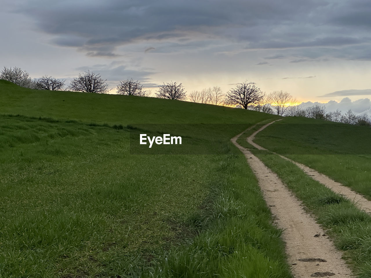 grass, plant, sky, environment, landscape, hill, field, grassland, cloud, land, nature, meadow, beauty in nature, tree, scenics - nature, green, rural area, prairie, plain, tranquility, rural scene, no people, road, tranquil scene, horizon, non-urban scene, pasture, outdoors, footpath, agriculture, sunset, plateau, dramatic sky, the way forward, travel, forest, natural environment, idyllic, cloudscape, overcast, dirt road, growth, sunlight, travel destinations, day, horizon over land