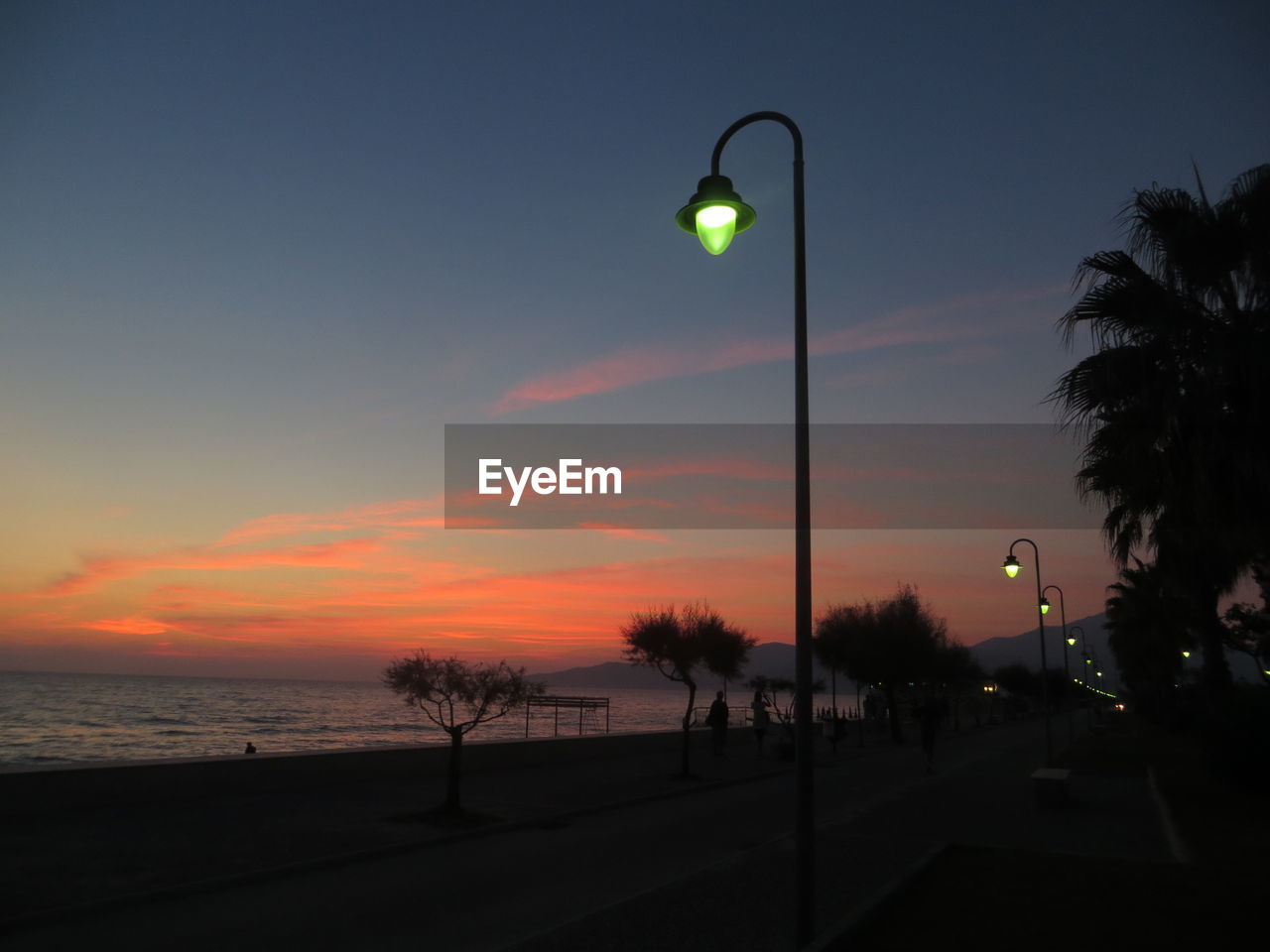 Street lights by trees against sky during sunset