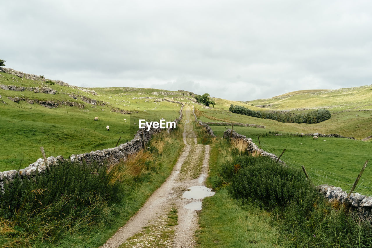 Scenic view of country road through field